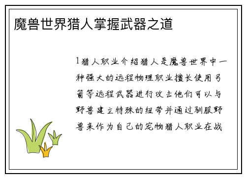 魔兽世界猎人掌握武器之道